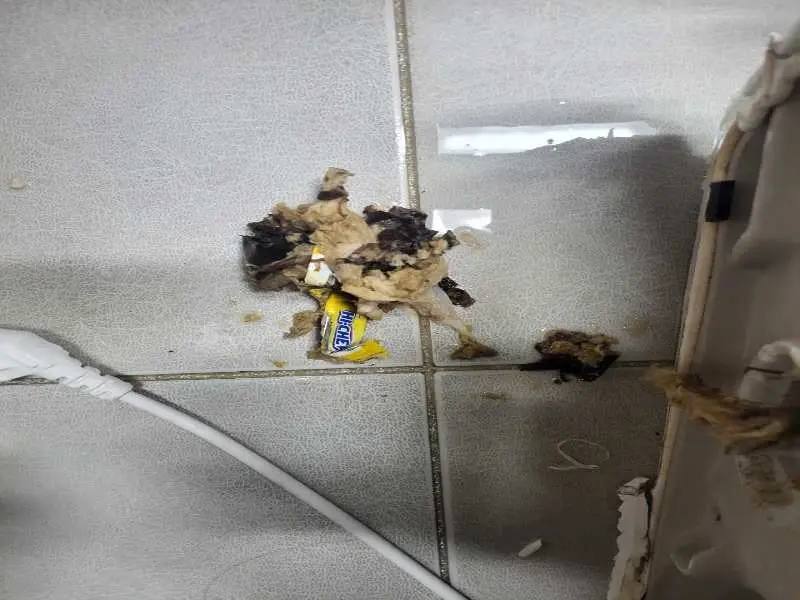 수지 변기 이물질 제거 사례 4